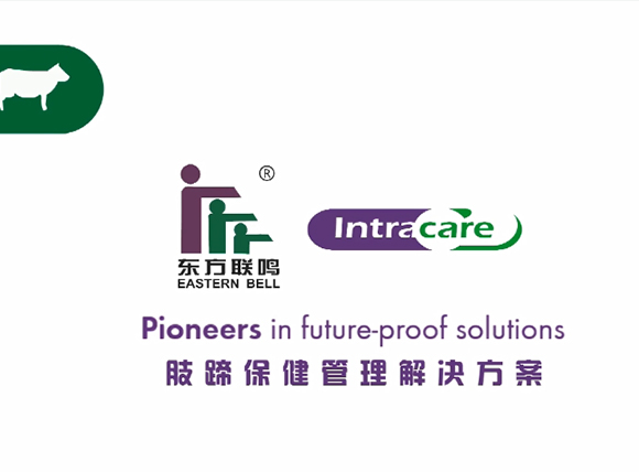肢蹄保健管理解决方案